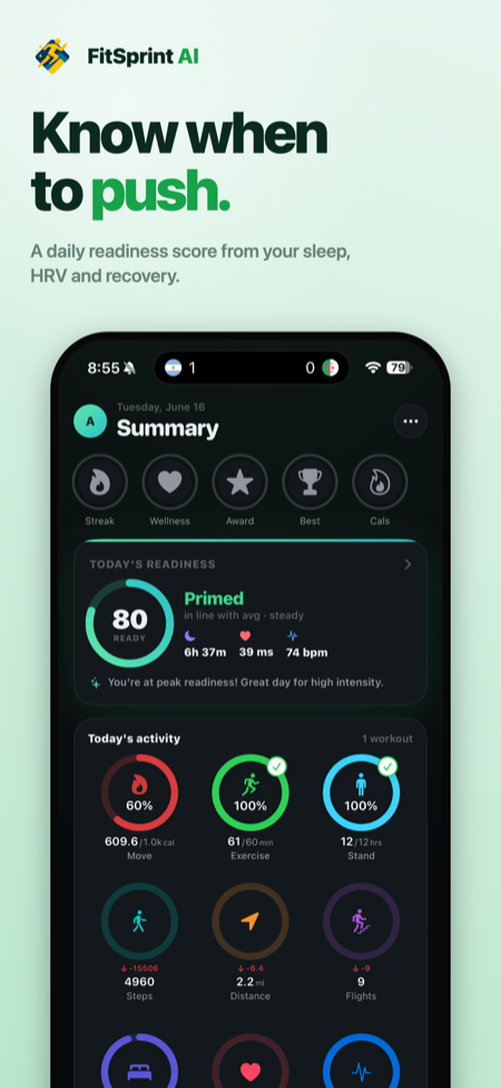 FitSprint AI summary on iPhone